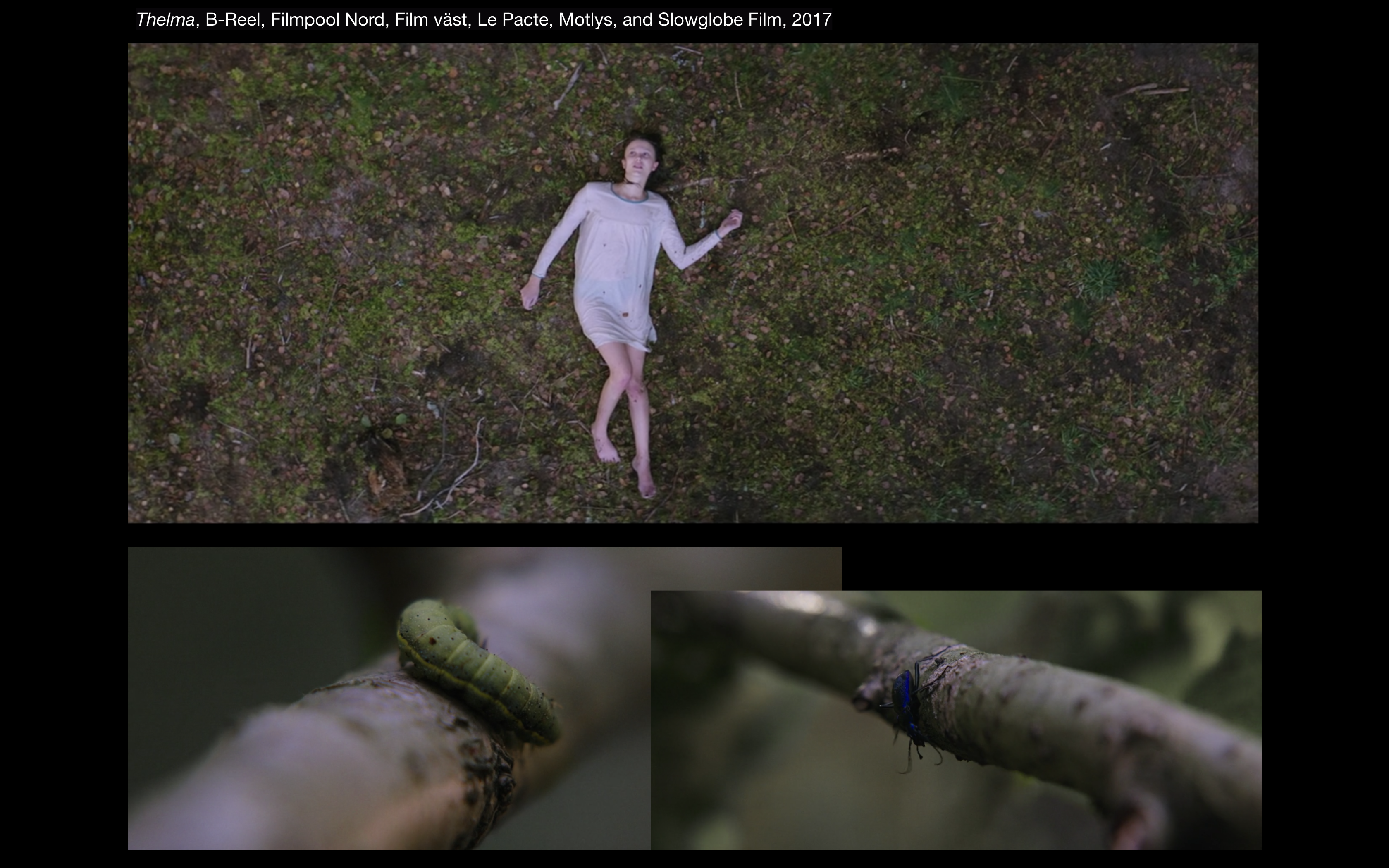 Thelma screen cap for website